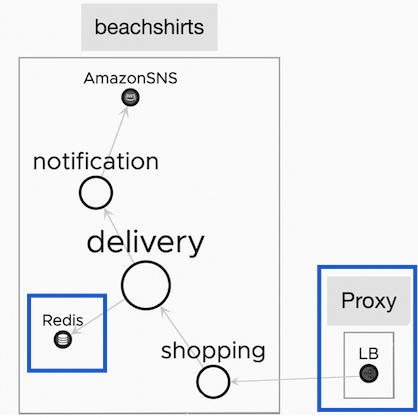Application map with the custom Redis database, Nginx load balancer, and an out-of-the-box Amazon SNS service.